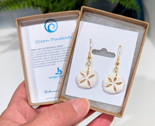 Load image into Gallery viewer, Sand dollar
